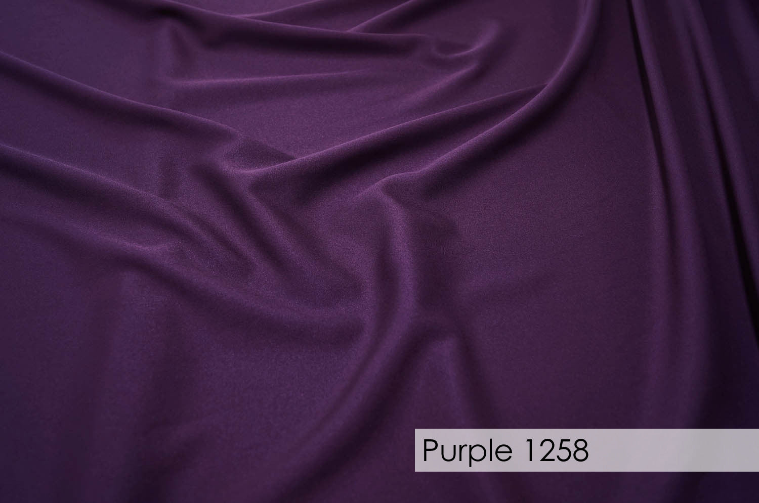 PURPLE 1258